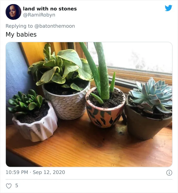 20 Indoor Plants For People Who Tend To Kill Them Off By Accident