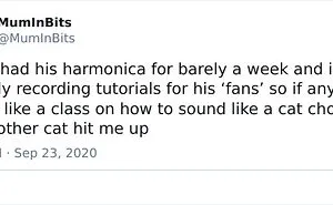 30 Of The Best Parenting Tweets Of September