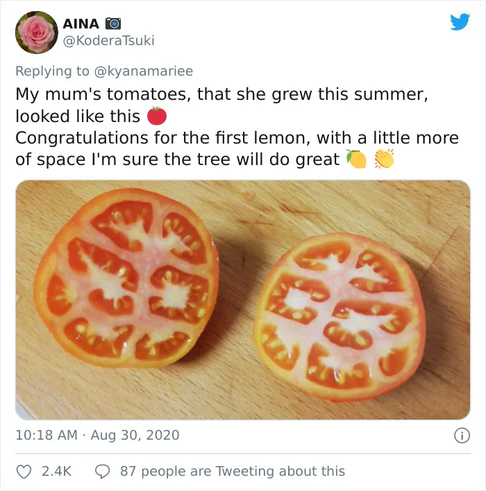 'Failed Harvest': People Are Sharing What They Failed To Grow In 30 Funny Pics