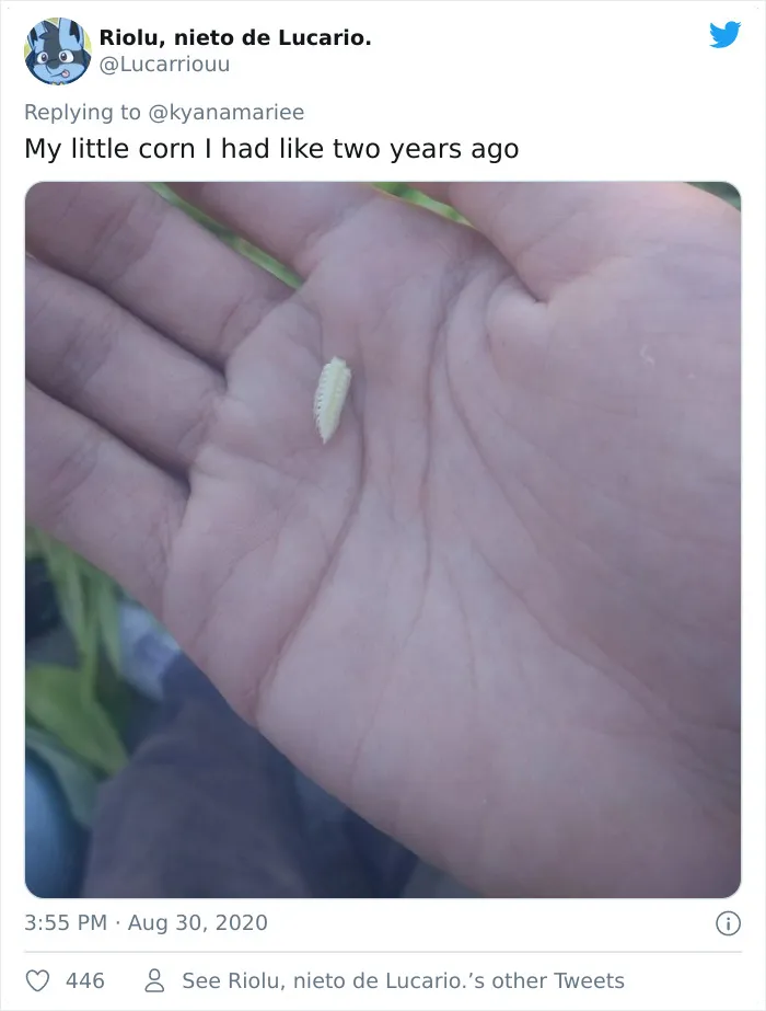 'Failed Harvest': People Are Sharing What They Failed To Grow In 30 Funny Pics