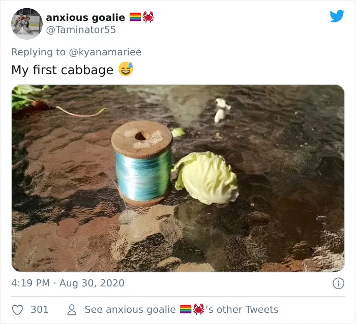 'Failed Harvest': People Are Sharing What They Failed To Grow In 30 Funny Pics