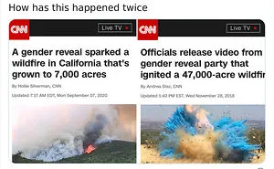 45 Of The Most Savage 'Gender Reveal Party' Memes After People Learned It Was The Cause Of An Apocalyptic Wildfire In California