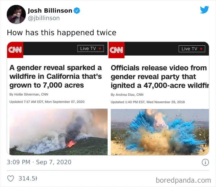 45 Of The Most Savage 'Gender Reveal Party' Memes After People Learned It Was The Cause Of An Apocalyptic Wildfire In California