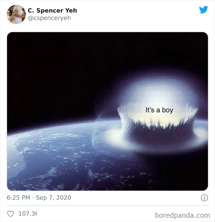 45 Of The Most Savage 'Gender Reveal Party' Memes After People Learned It Was The Cause Of An Apocalyptic Wildfire In California