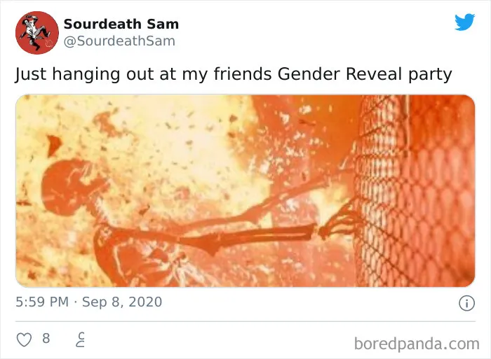 45 Of The Most Savage 'Gender Reveal Party' Memes After People Learned It Was The Cause Of An Apocalyptic Wildfire In California