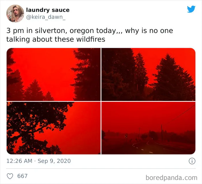 La gente comparte imágenes del infierno que está teniendo lugar en la Costa Oeste de EEUU (40 fotos)