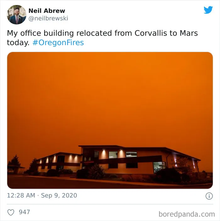 La gente comparte imágenes del infierno que está teniendo lugar en la Costa Oeste de EEUU (40 fotos)