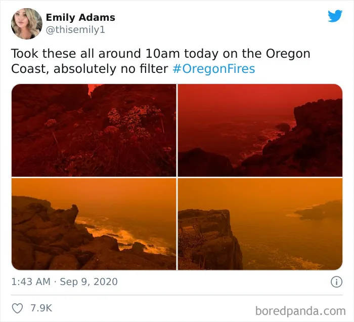 La gente comparte imágenes del infierno que está teniendo lugar en la Costa Oeste de EEUU (40 fotos)