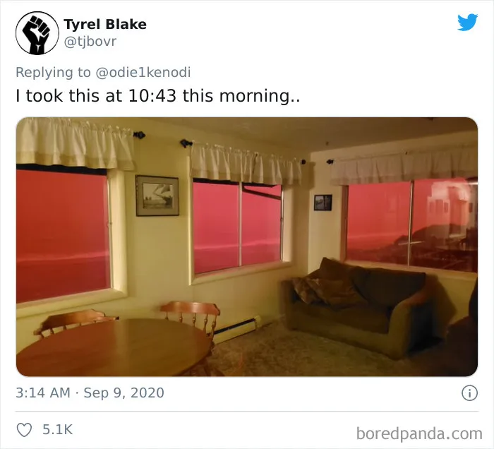 La gente comparte imágenes del infierno que está teniendo lugar en la Costa Oeste de EEUU (40 fotos)