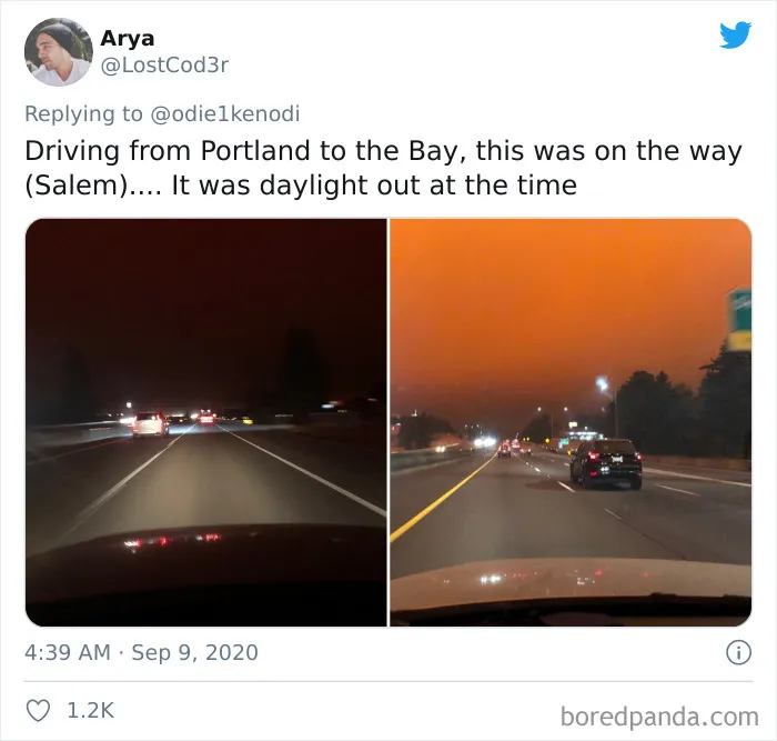 La gente comparte imágenes del infierno que está teniendo lugar en la Costa Oeste de EEUU (40 fotos)