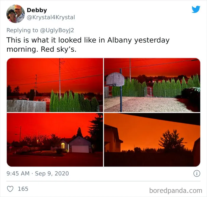 La gente comparte imágenes del infierno que está teniendo lugar en la Costa Oeste de EEUU (40 fotos)