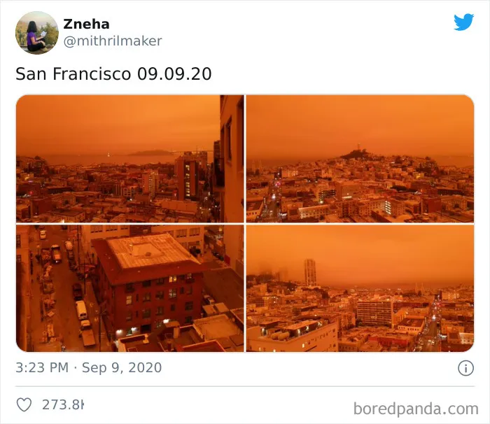La gente comparte imágenes del infierno que está teniendo lugar en la Costa Oeste de EEUU (40 fotos)