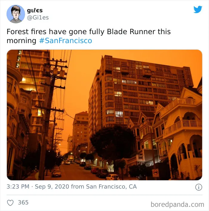 La gente comparte imágenes del infierno que está teniendo lugar en la Costa Oeste de EEUU (40 fotos)