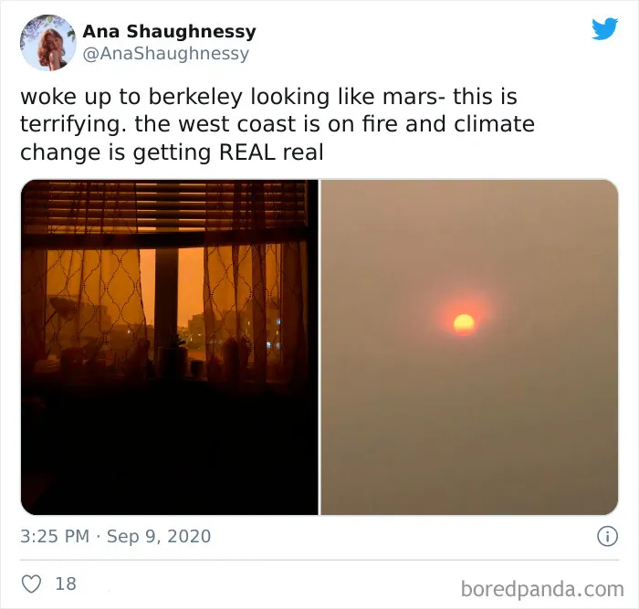 La gente comparte imágenes del infierno que está teniendo lugar en la Costa Oeste de EEUU (40 fotos)
