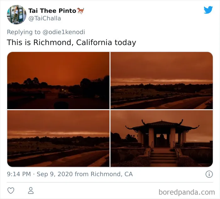 La gente comparte imágenes del infierno que está teniendo lugar en la Costa Oeste de EEUU (40 fotos)