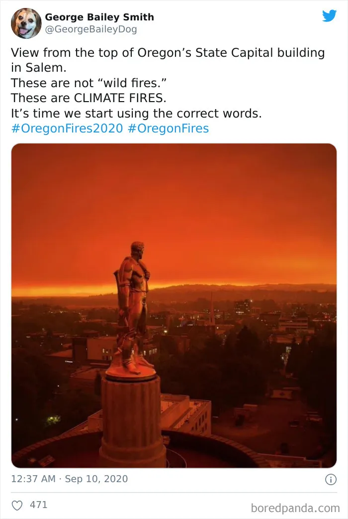La gente comparte imágenes del infierno que está teniendo lugar en la Costa Oeste de EEUU (40 fotos)