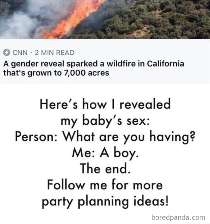 45 Of The Most Savage 'Gender Reveal Party' Memes After People Learned It Was The Cause Of An Apocalyptic Wildfire In California