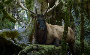 37 Surreal And Magical Animal Images By Simen Johan