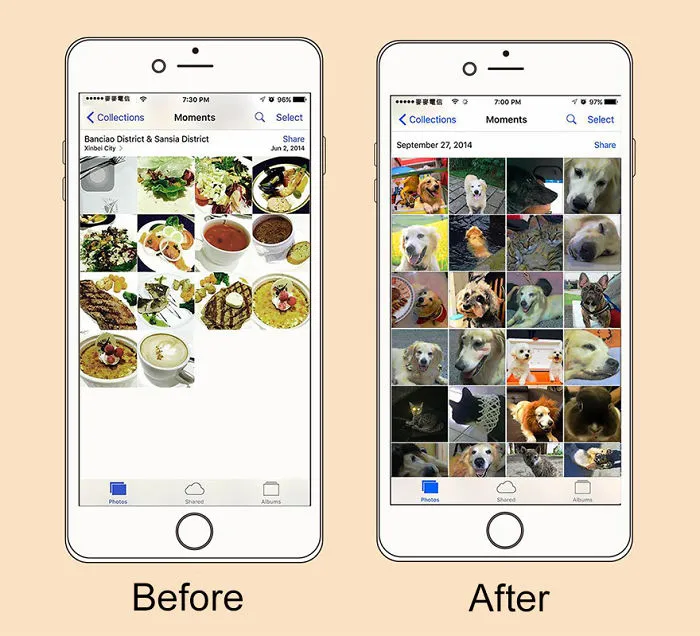 22 Life Changes That Happen After Getting A Pet