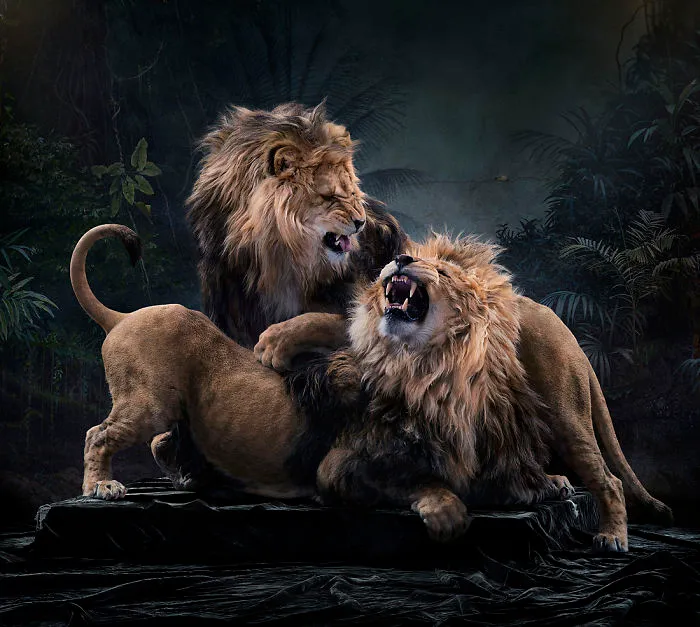 37 Surreal And Magical Animal Images By Simen Johan