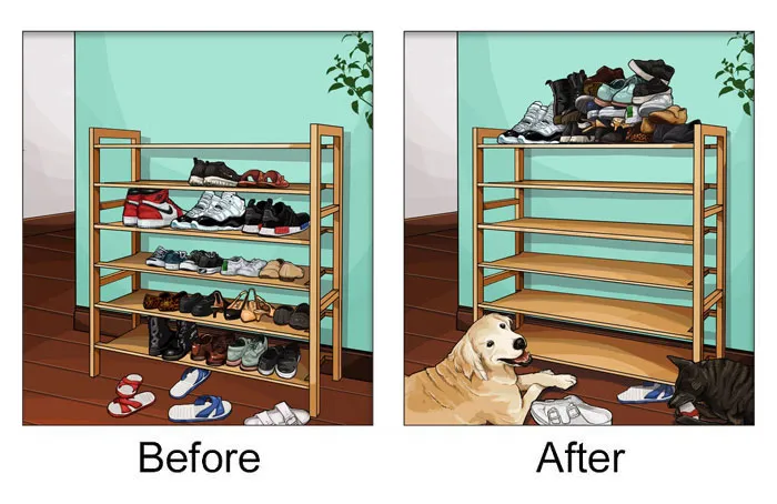 22 Life Changes That Happen After Getting A Pet