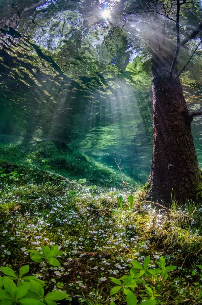 Honorable Mention - Martin Strmiska, Styria, Austria