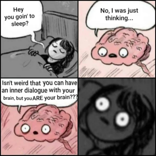 Funny Memes That Made Me Laugh