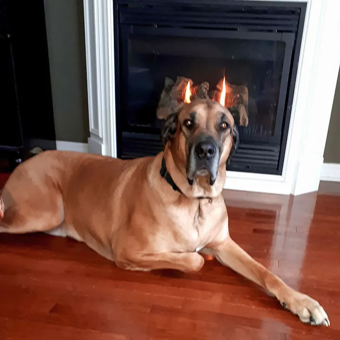 Murphy parece tener un poco de diablo en él