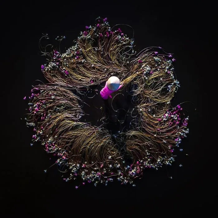 16 Breathtaking Photos Of Farmers Harvesting Waterlilies From The Mekong Delta