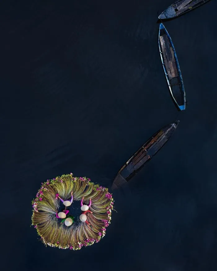 16 Breathtaking Photos Of Farmers Harvesting Waterlilies From The Mekong Delta