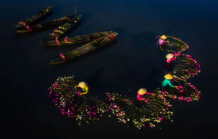 16 Breathtaking Photos Of Farmers Harvesting Waterlilies From The Mekong Delta