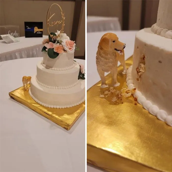 Tarta de boda muy acertada para dueños de perro