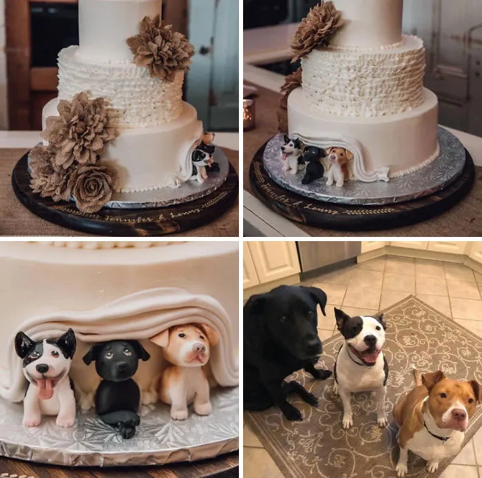 Para amantes de los perros