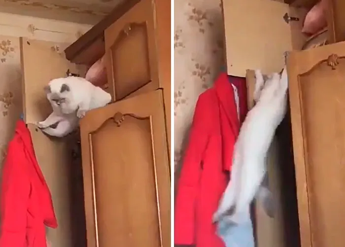 Mistakes Were Made