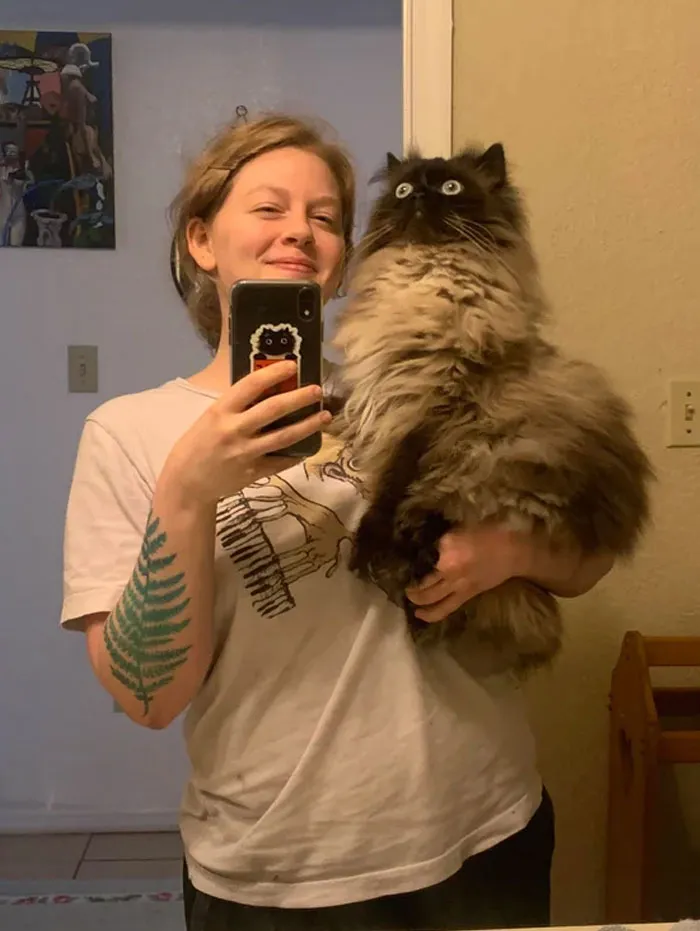 I Just Can't With Noodle's Face