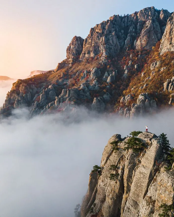 Alone In The Mist