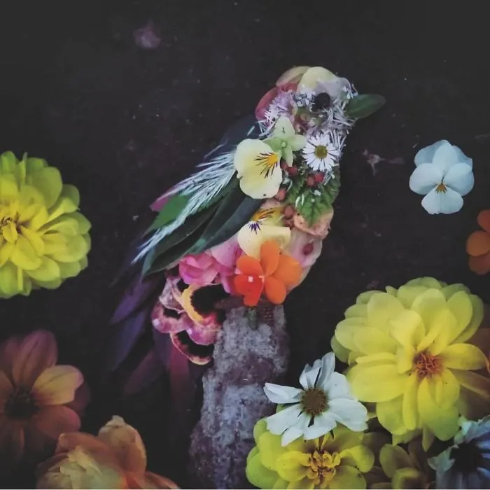 Artist Uses Leaves And Flowers To Create Mesmerizing Bird Portraits (30 Pics)