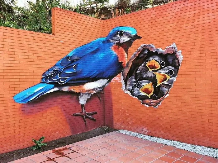 Graffiti Artist Who Got Famous For His 3D Murals Continues Doing What He Does Best