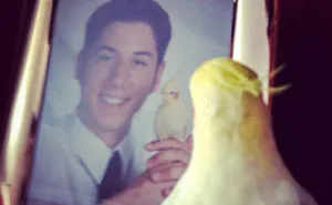 People Submit Their Most Awkward Family Pics To This Instagram Account, And Here Are 50 Of The Funniest Ones