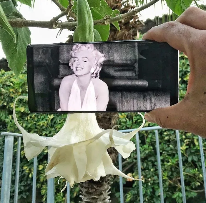 I Bring Everyday Objects To Life With My Smartphone And No Editing (30 New Pics)