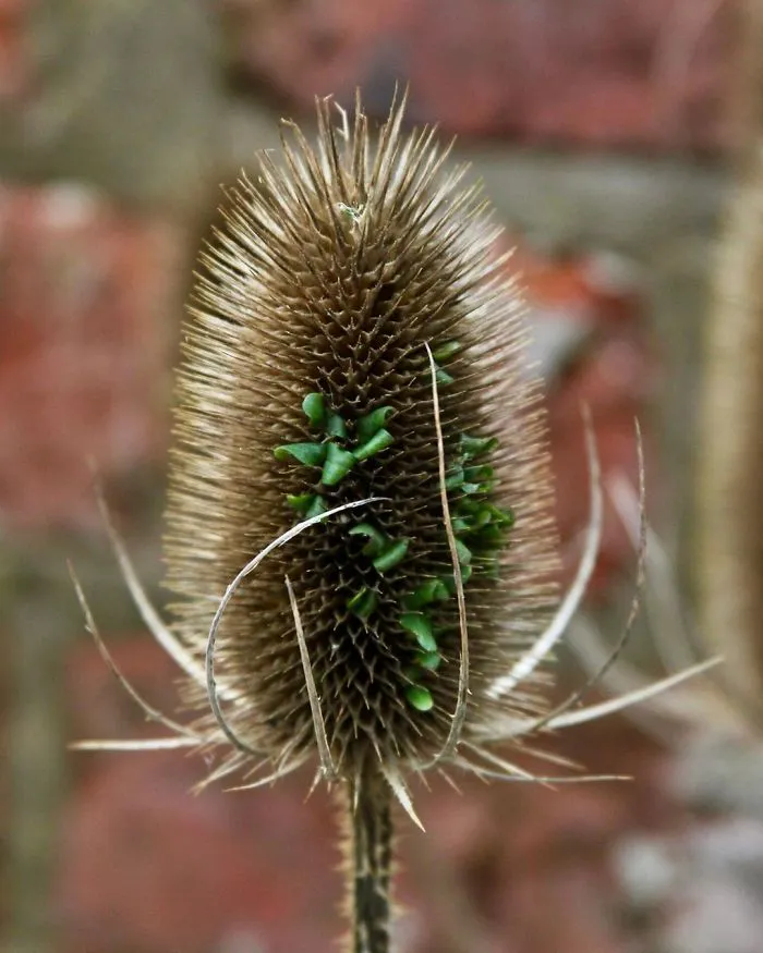 Nature Is Amazing