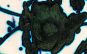 I Create Artwork Using Elmer's Glue And Food Coloring (15 Images)