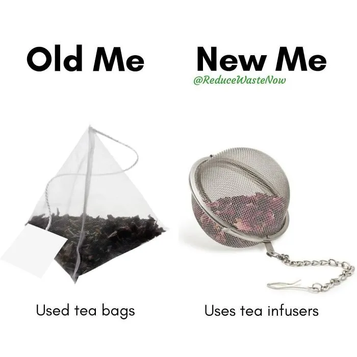 50 ‘Old Me vs. New Me’ Memes That Will Help You Reduce Waste