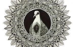 I Used Mandala Art To Help Promote Philippine Endemic Birds