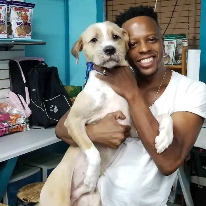 Pit Bull + Yorkie