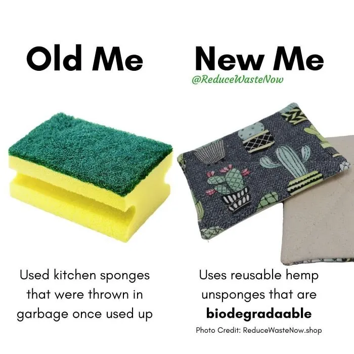 50 ‘Old Me vs. New Me’ Memes That Will Help You Reduce Waste