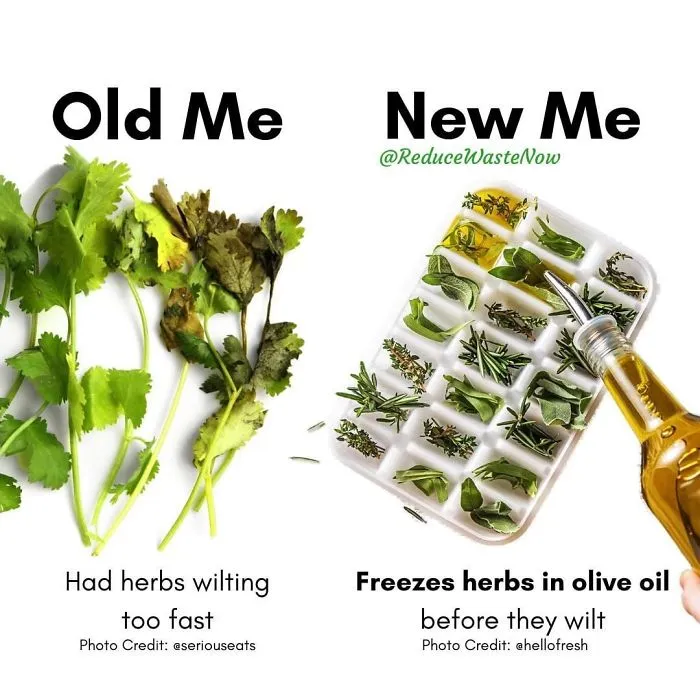 50 ‘Old Me vs. New Me’ Memes That Will Help You Reduce Waste