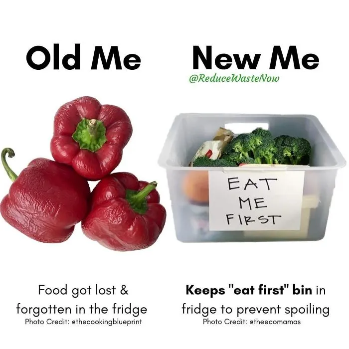 50 ‘Old Me vs. New Me’ Memes That Will Help You Reduce Waste