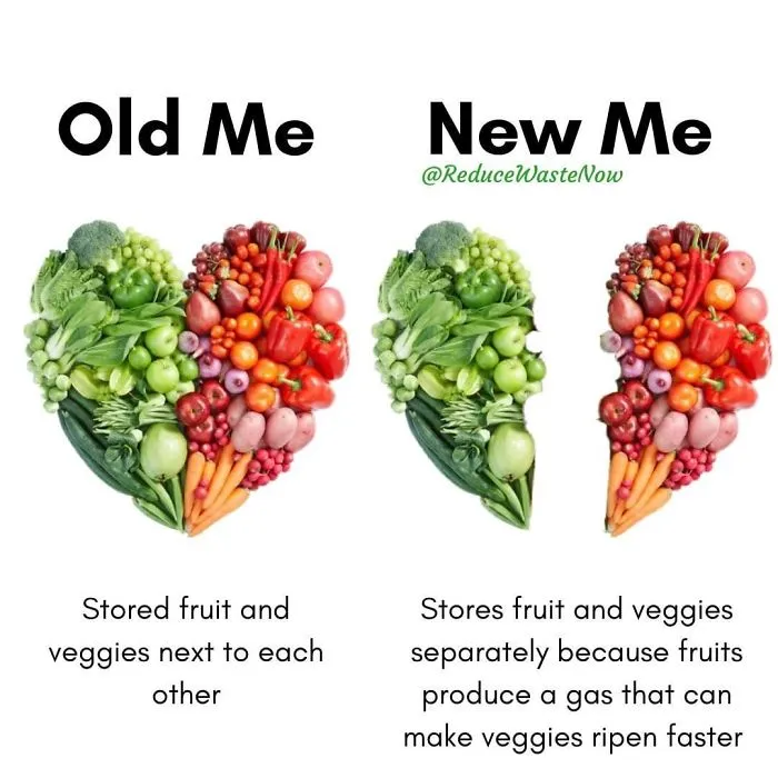 50 ‘Old Me vs. New Me’ Memes That Will Help You Reduce Waste