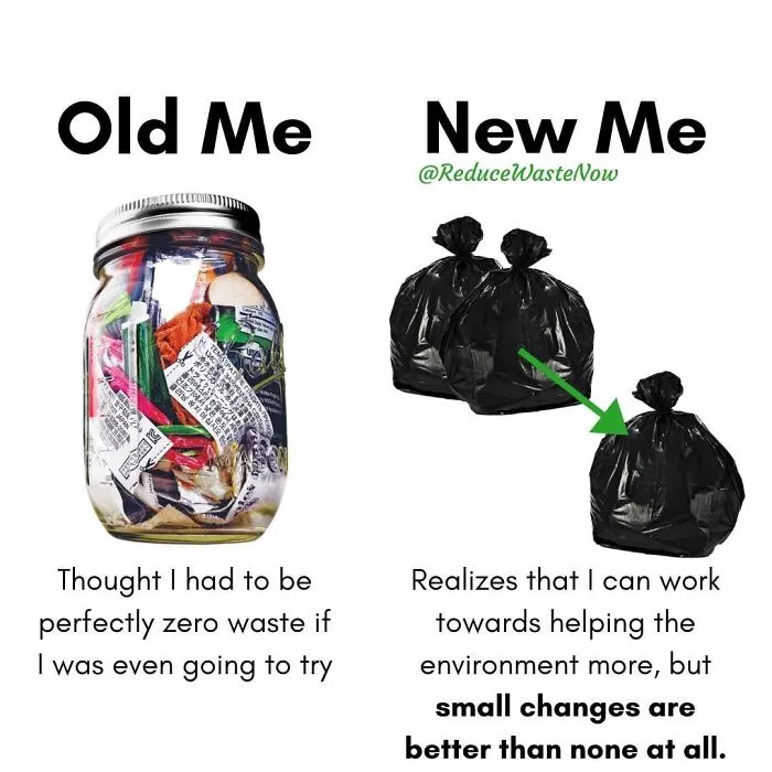 50 ‘Old Me vs. New Me’ Memes That Will Help You Reduce Waste